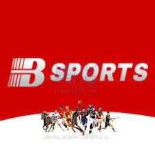 B33体育·(中国)官方网站